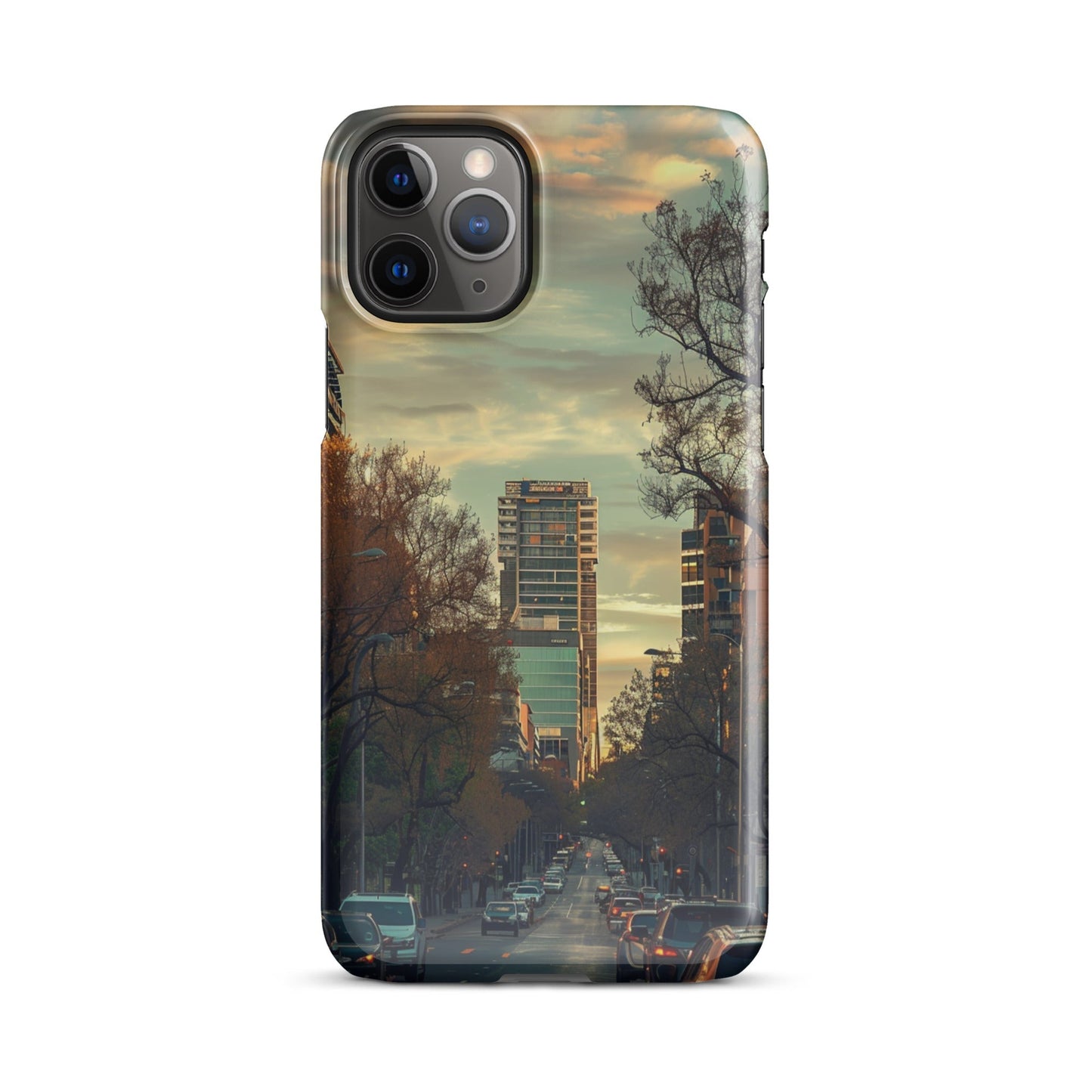 Adelaide Phone case for iPhone-2