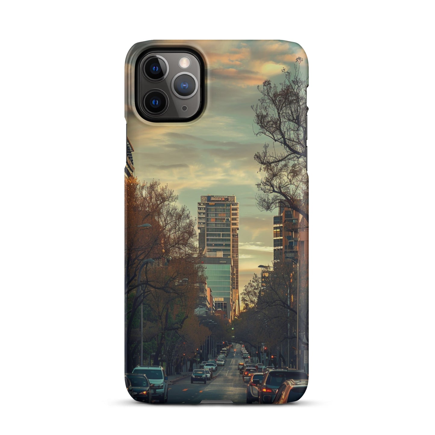 Adelaide Phone case for iPhone-5