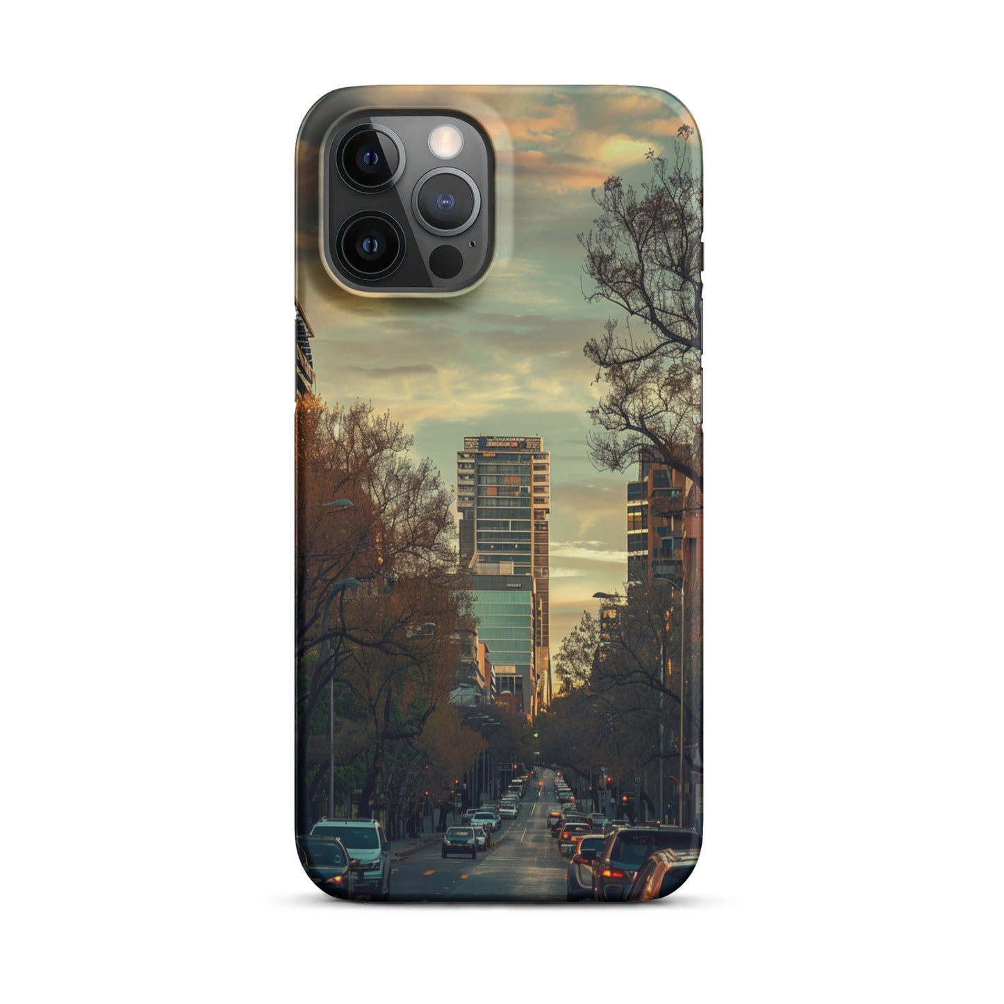 Adelaide Phone case for iPhone-13