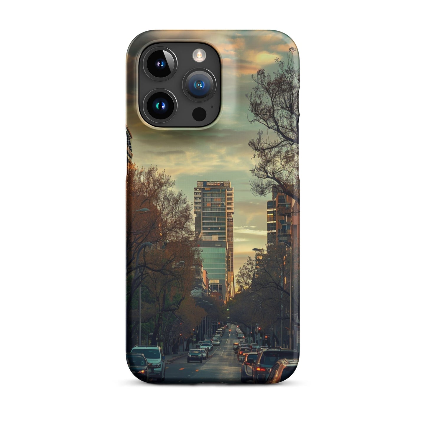 Adelaide Phone case for iPhone-37